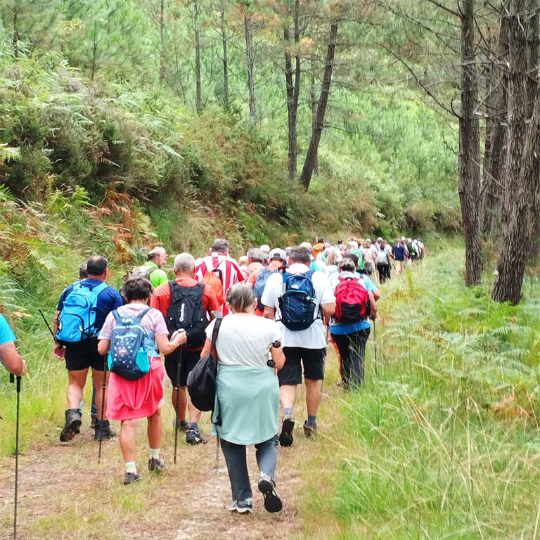 XII Ruta Nocturna del Grupo Montaña La Chiruca. Noche Mágica 2025 10 XII Ruta Nocturna del Grupo Montaña La Chiruca. Noche Mágica 2025
