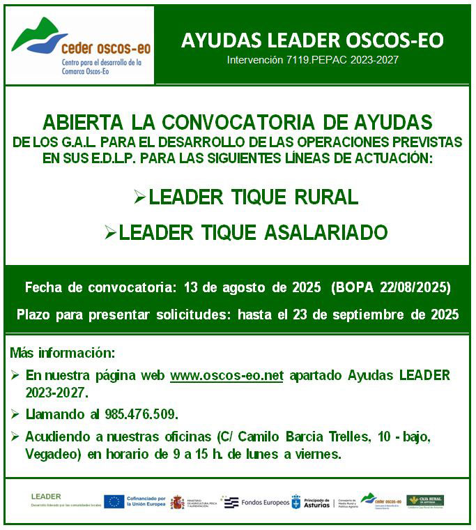 Abierto el plazo para solicitar una Ayuda LEADER para la creación de empleo 2 Cartel-2025-tiques