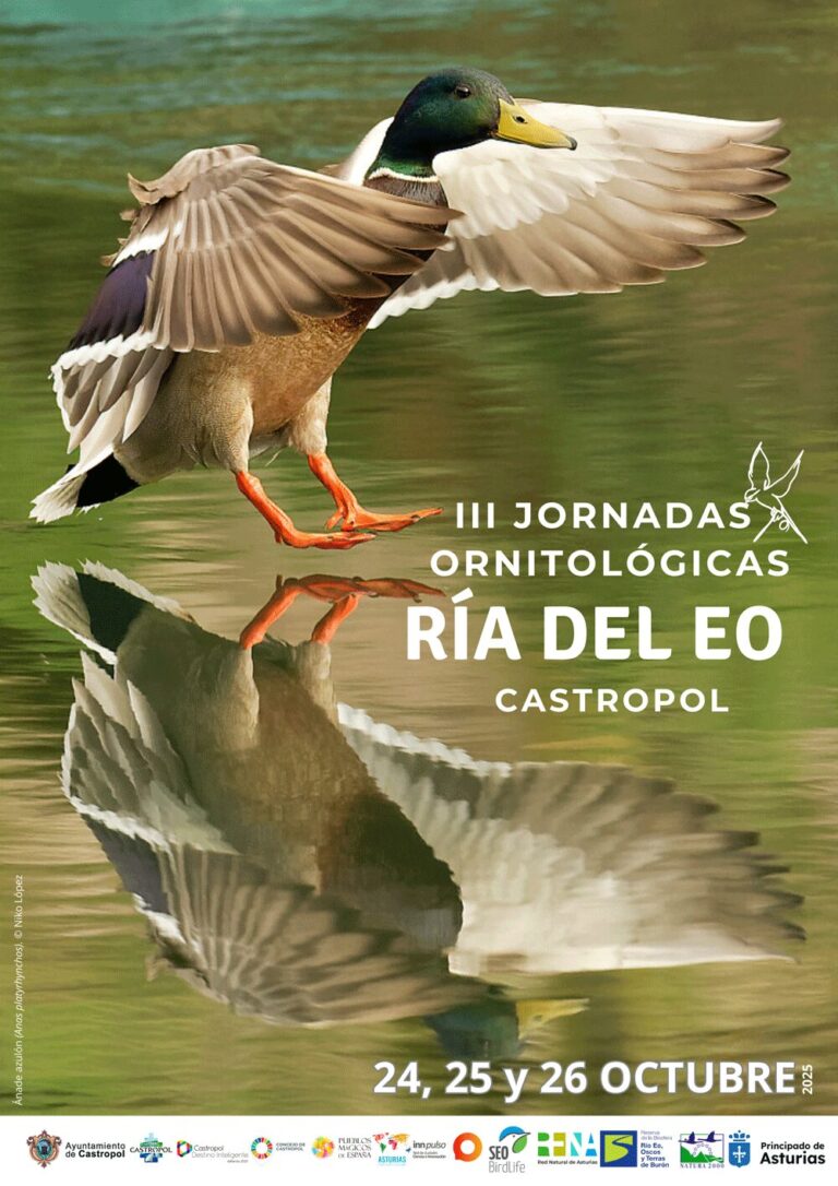 JORANDAS ORNITOLOGICAS