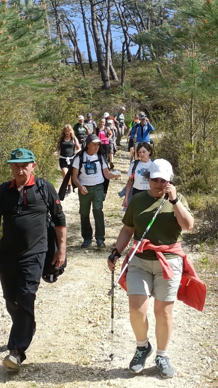 viajeentren10