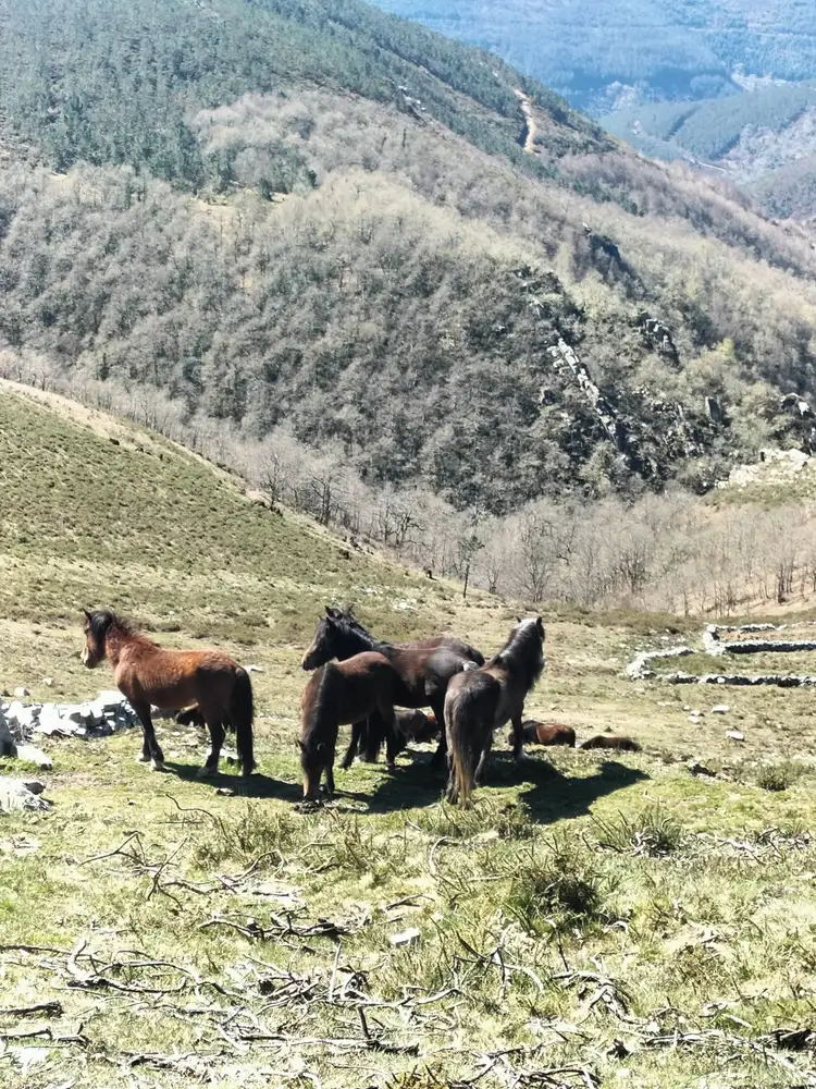 Ruta con el Rincón Olvidao por Villayón 6 1000224286