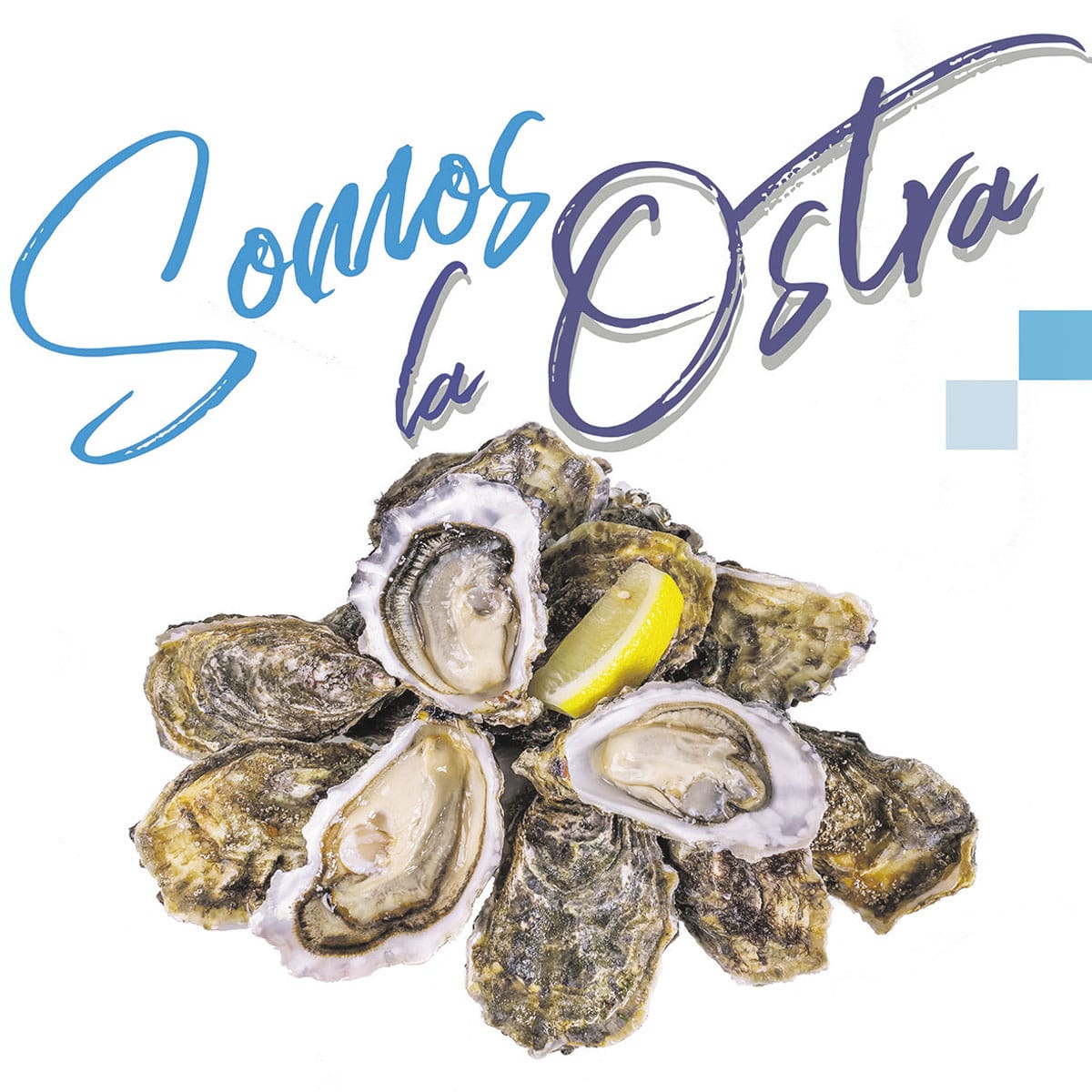 XII Festival Somos la Ostra de Castropol