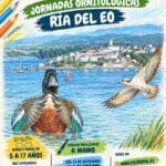CONCURSO ILUSTRACION