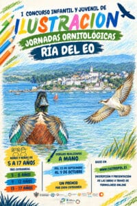 CONCURSO ILUSTRACION