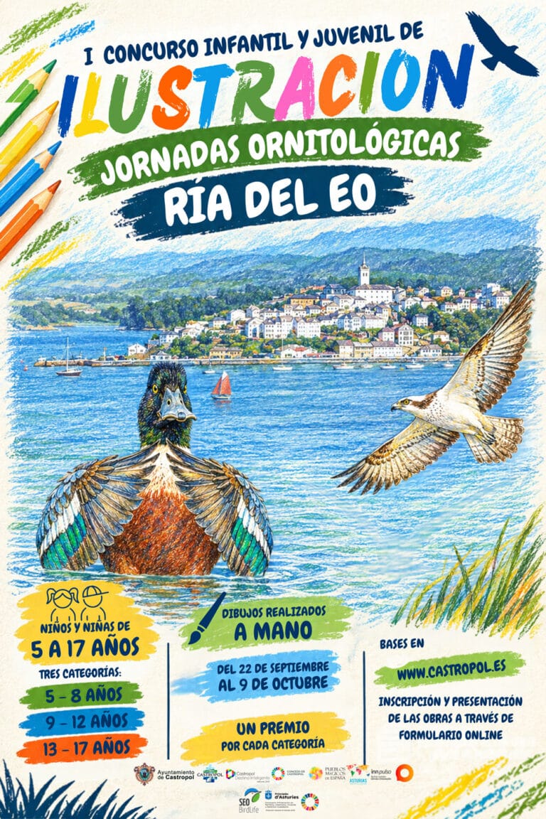 CONCURSO ILUSTRACION