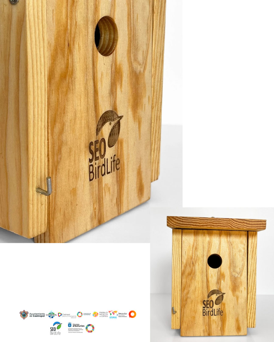 CAJAS NIDO SEO
